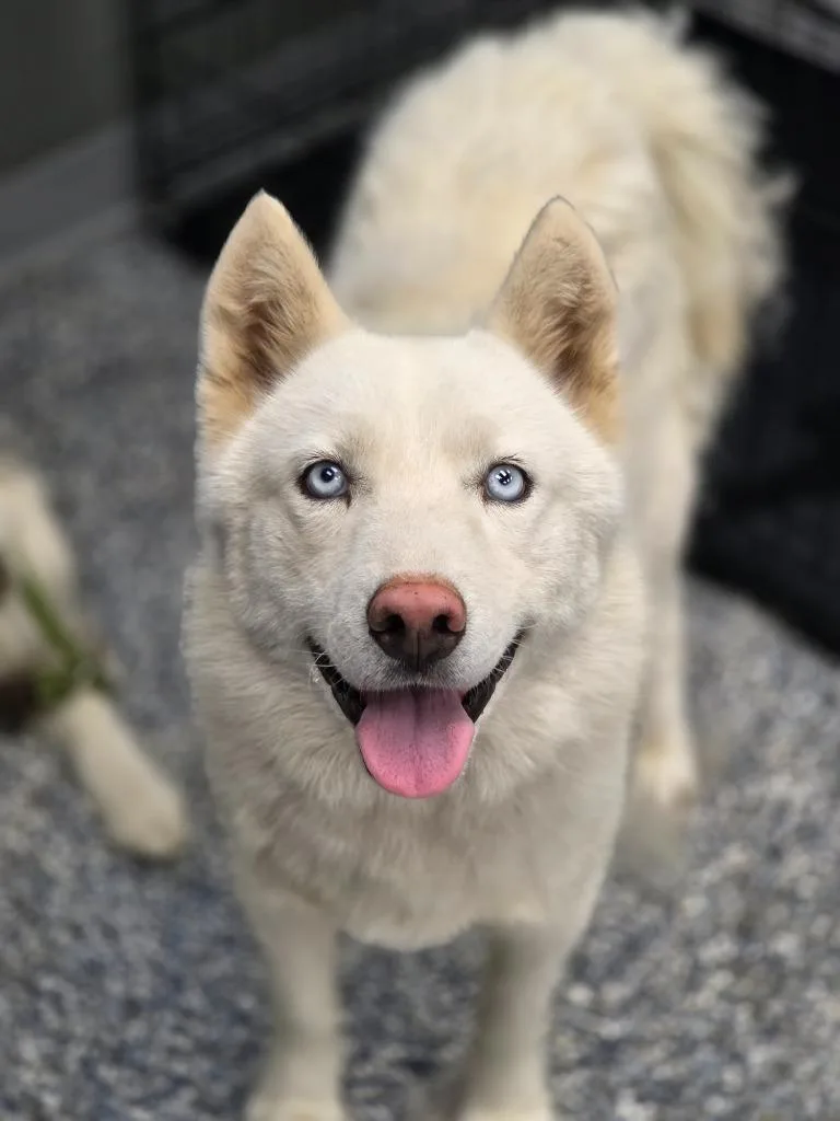 Casper