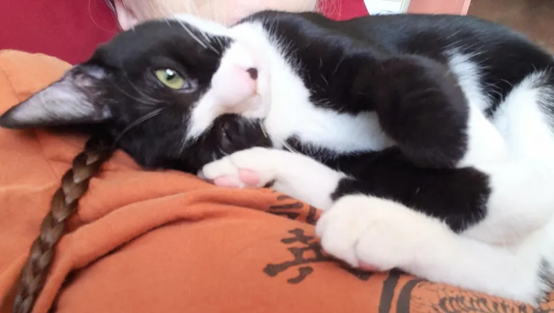 Bruno thumbnail 2