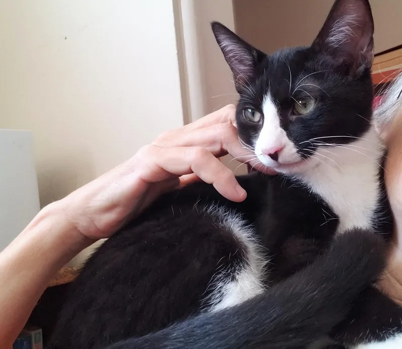 Bruno thumbnail 3