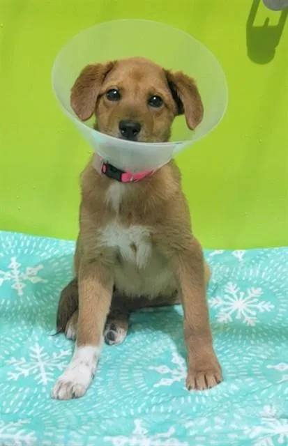 Mia
