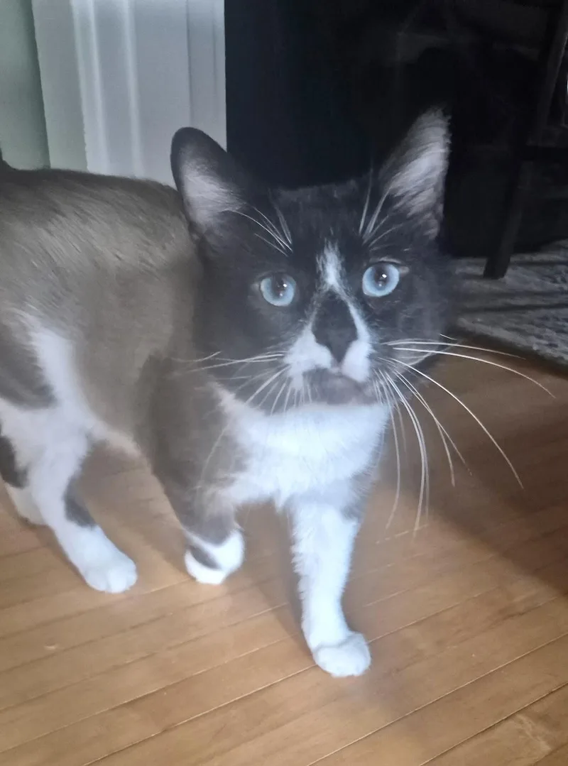 George