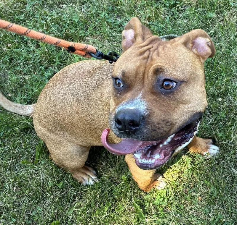 Bruce