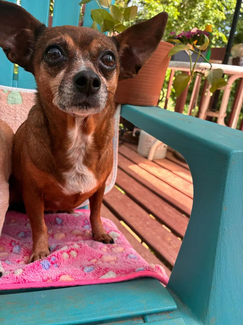 Ellie Mae Jun