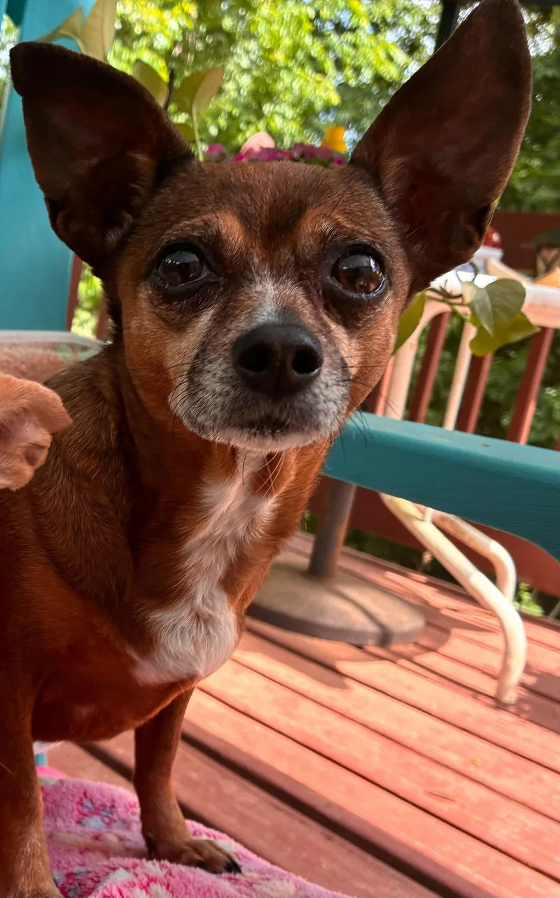 Ellie Mae Jun thumbnail 3