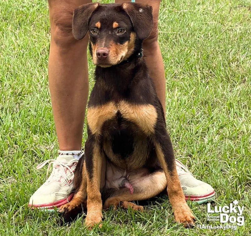 Par thumbnail 2
