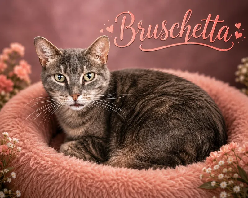 Bruschetta thumbnail 2