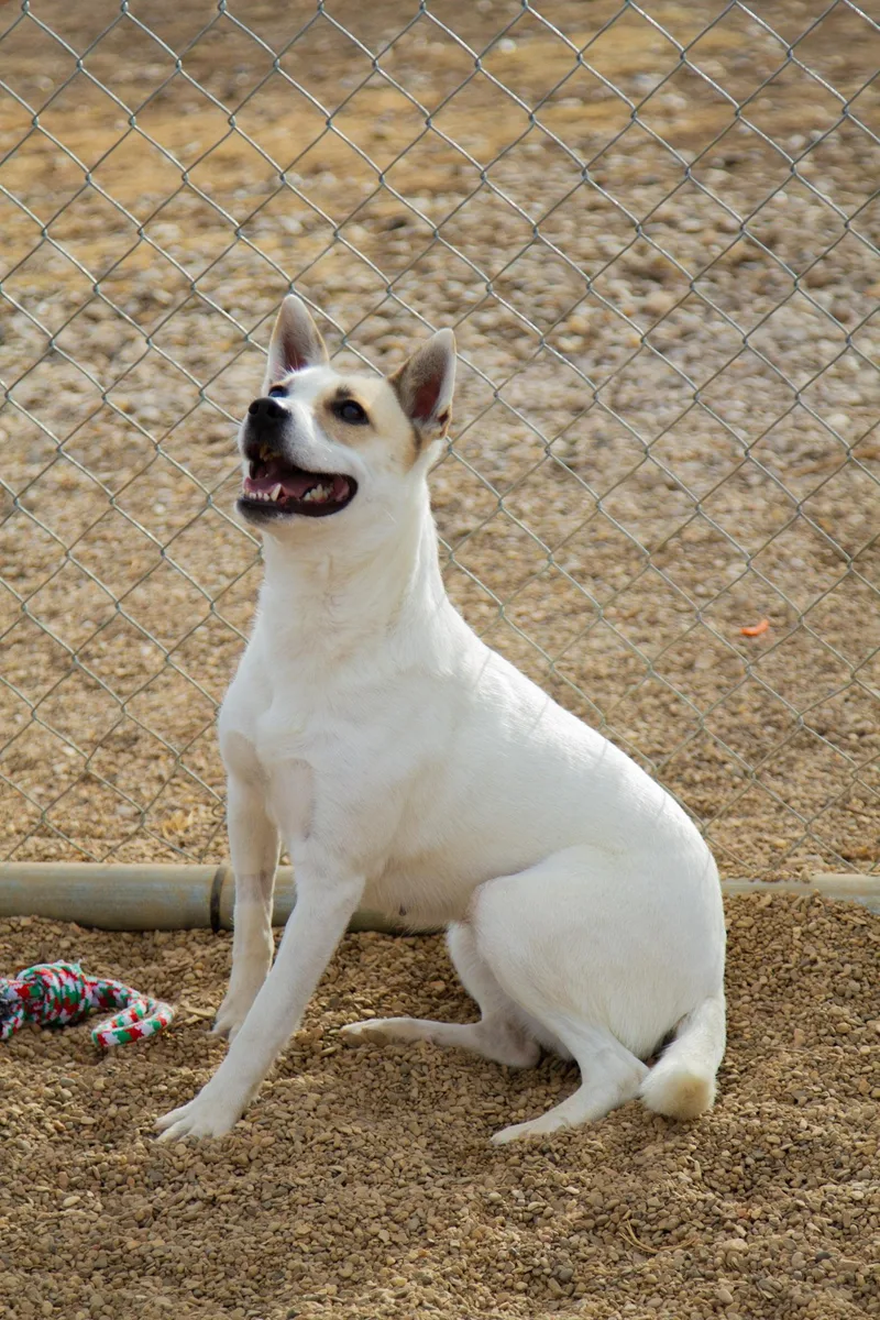 Evangeline thumbnail 4