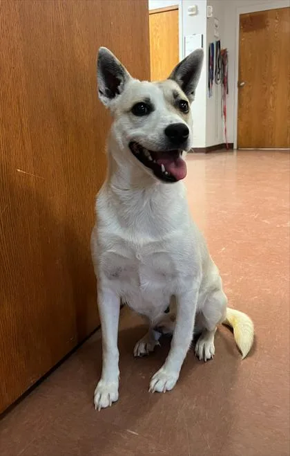 Evangeline thumbnail 5