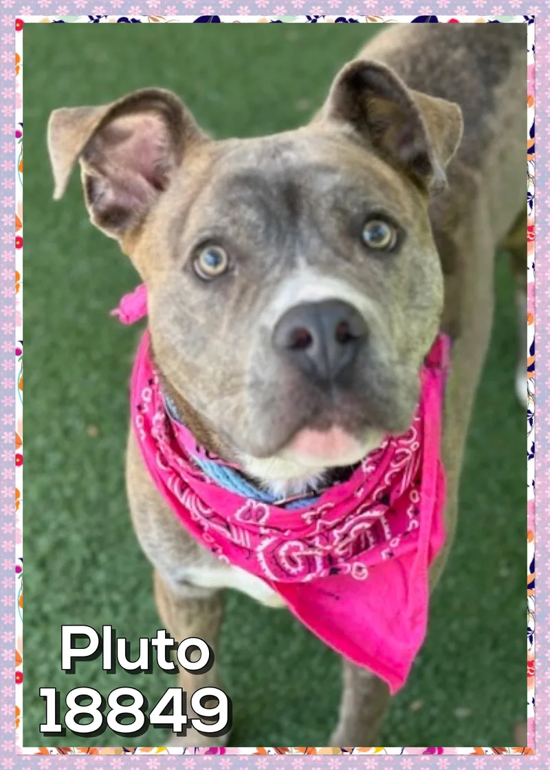 Pluto