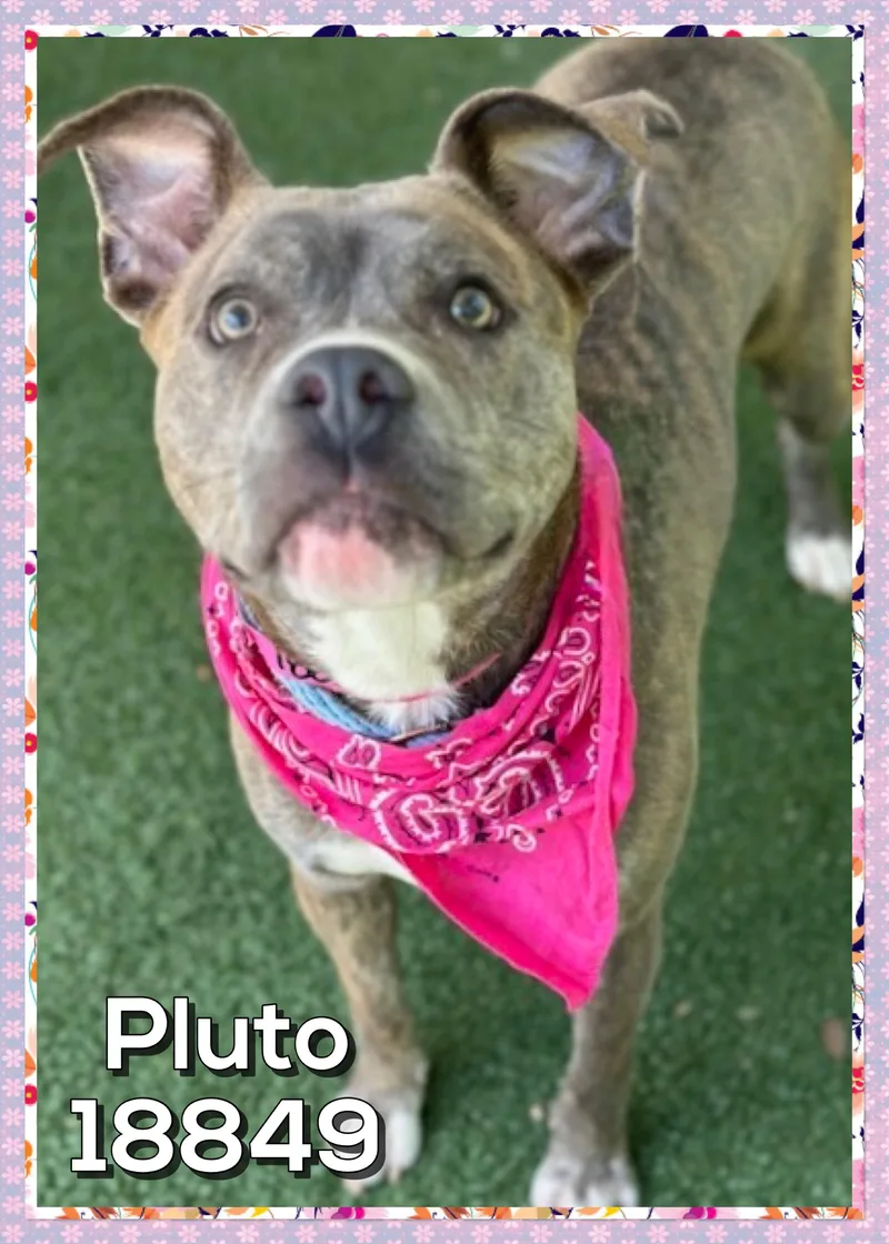 Pluto thumbnail 2