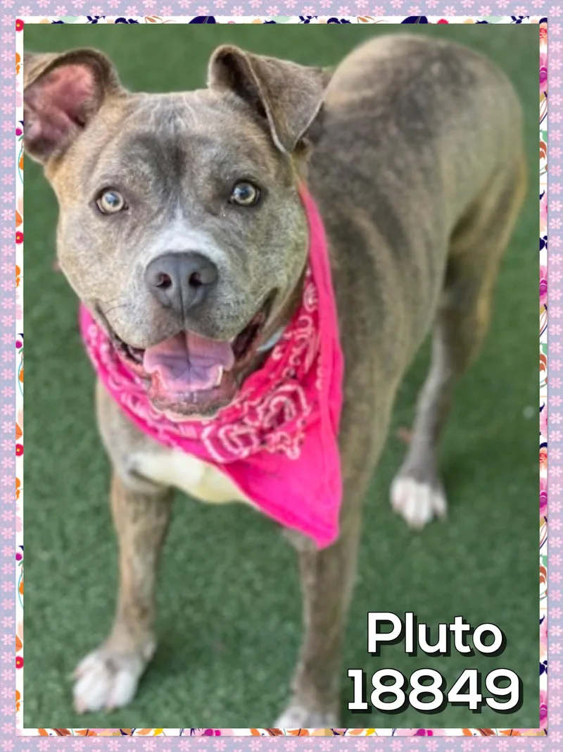 Pluto thumbnail 3