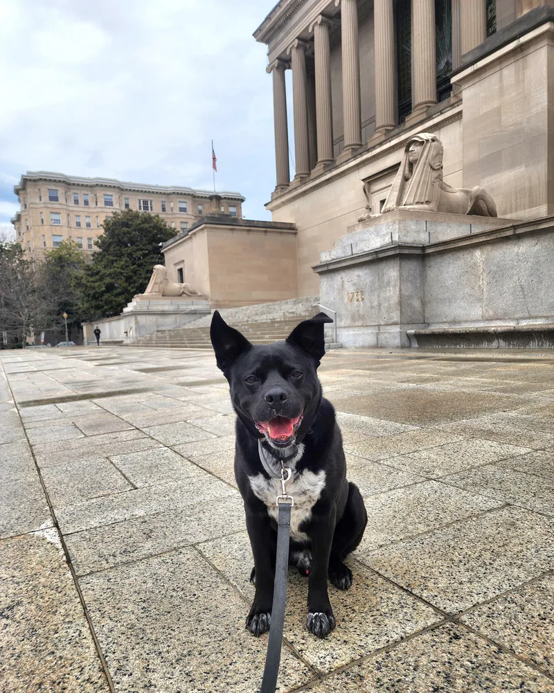 Bruce Wayne thumbnail 3