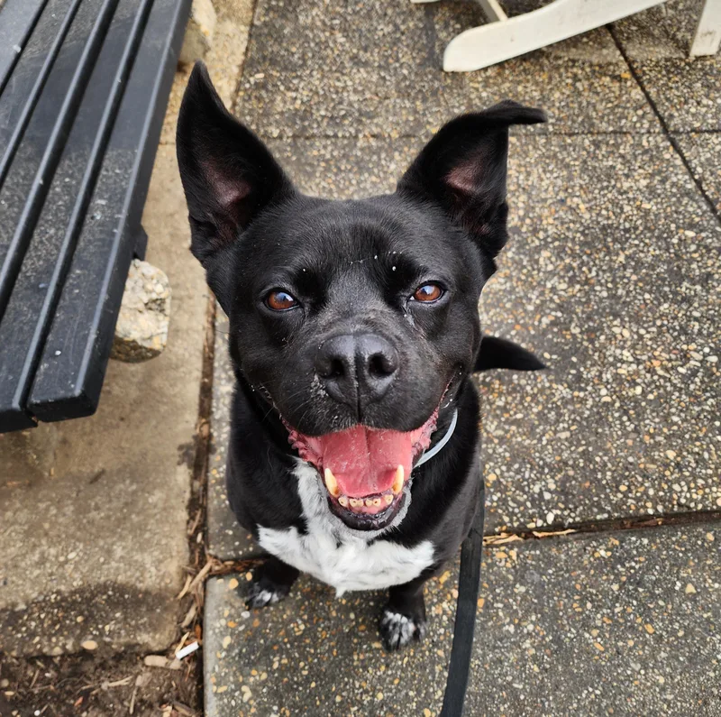 Bruce Wayne thumbnail 5