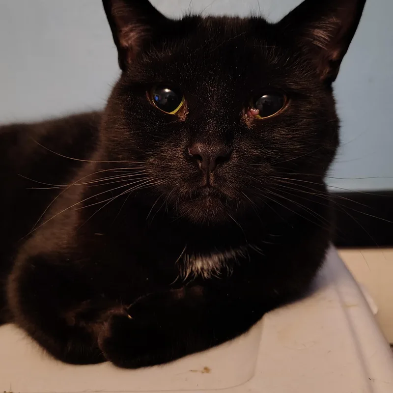 Charlise thumbnail 2