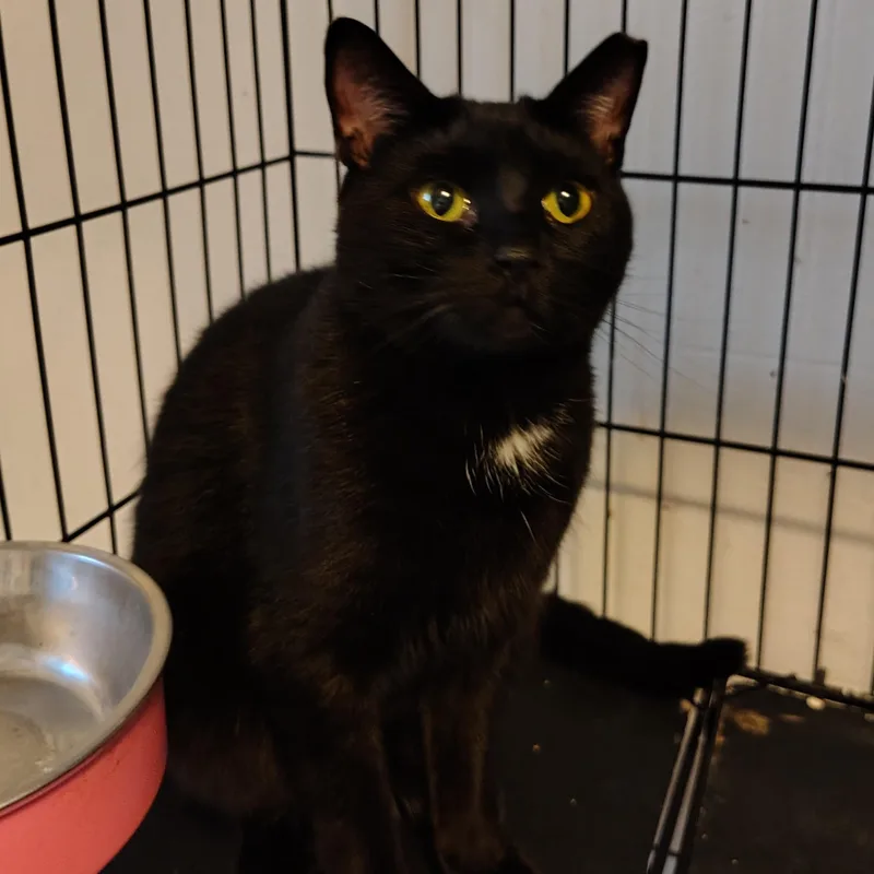 Charlise thumbnail 3