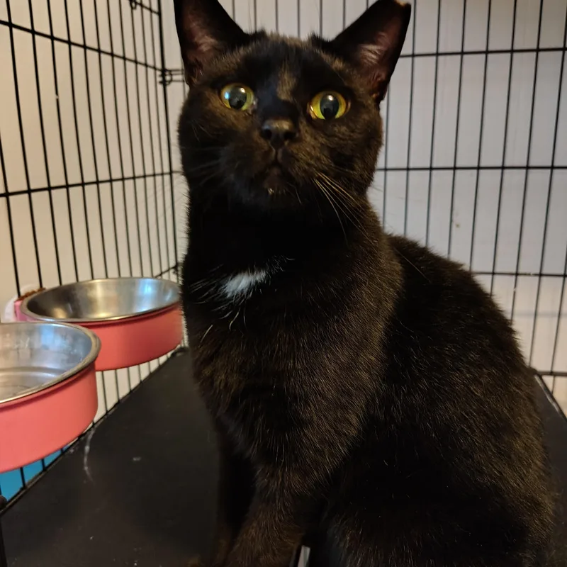 Charlise thumbnail 4