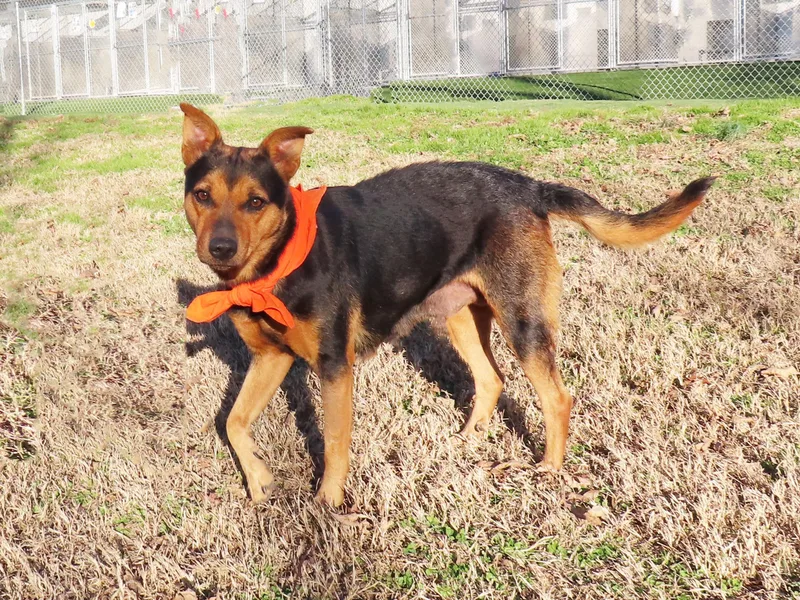 Siggy Ca thumbnail 5