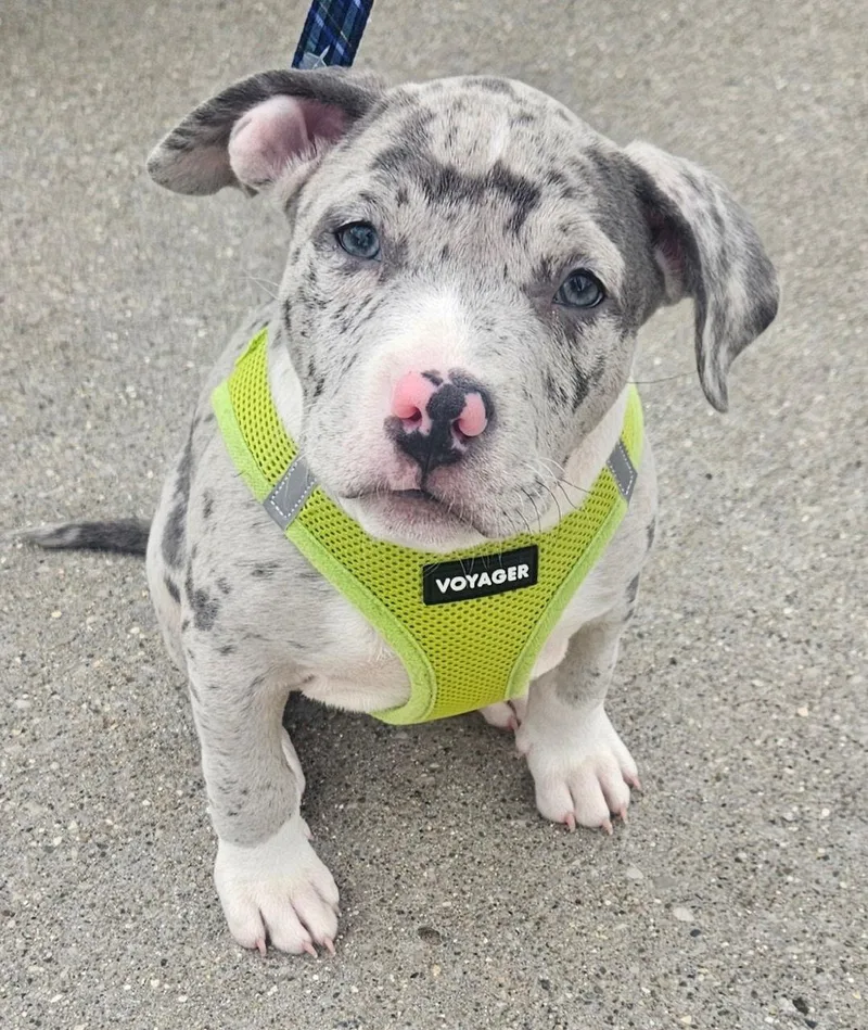 John Jr. thumbnail 2