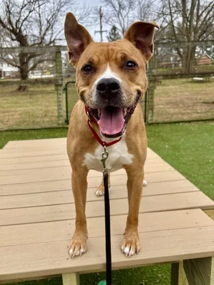 Skittles thumbnail 2