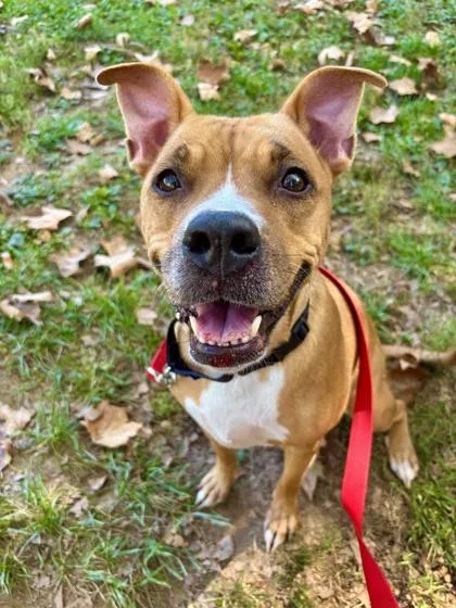 Skittles thumbnail 3