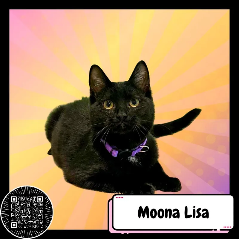 Moona Lisa thumbnail 2
