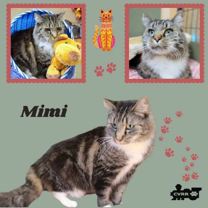 Mimi