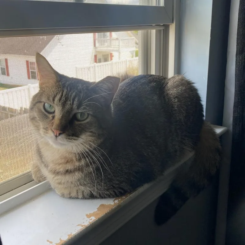 Emoticon thumbnail 3