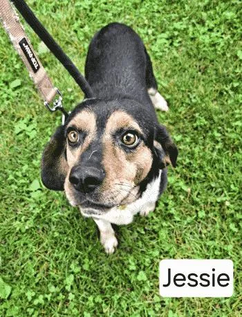 Jessie thumbnail 3
