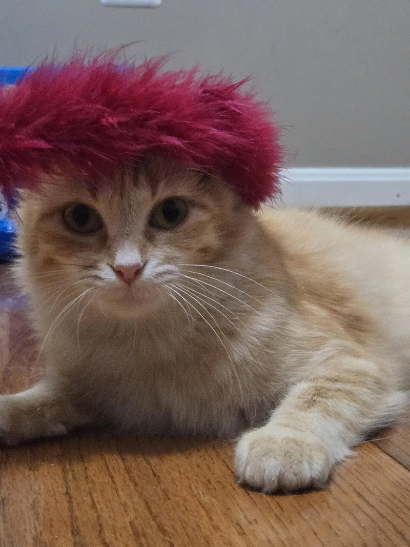 Jinx