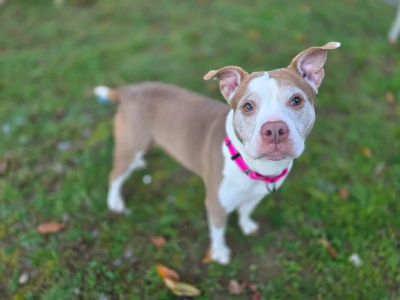 Loretta thumbnail 3