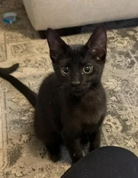 Charlie