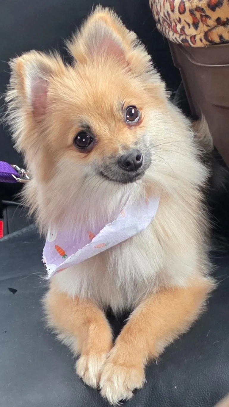 Max And Nala thumbnail 5