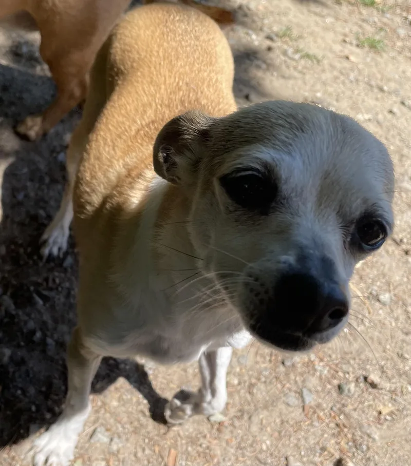 Daisy Duke thumbnail 3