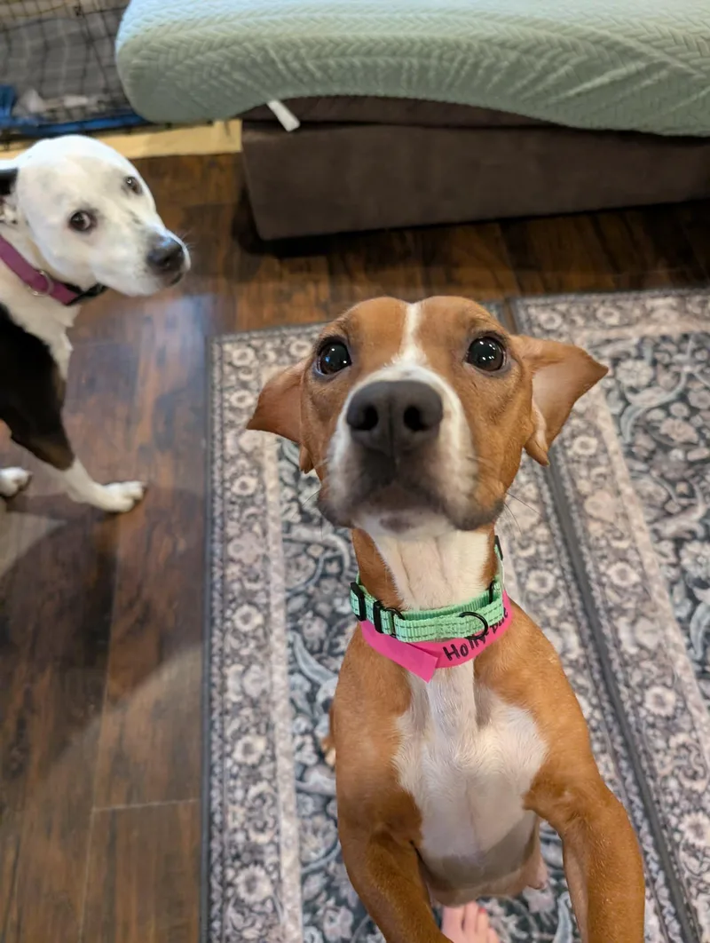 Holly Dae thumbnail 5