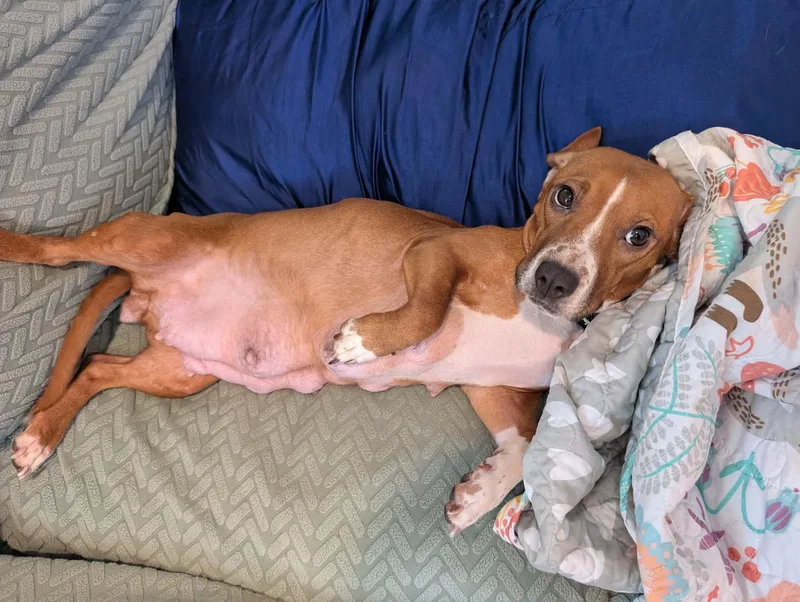 Holly Dae thumbnail 6