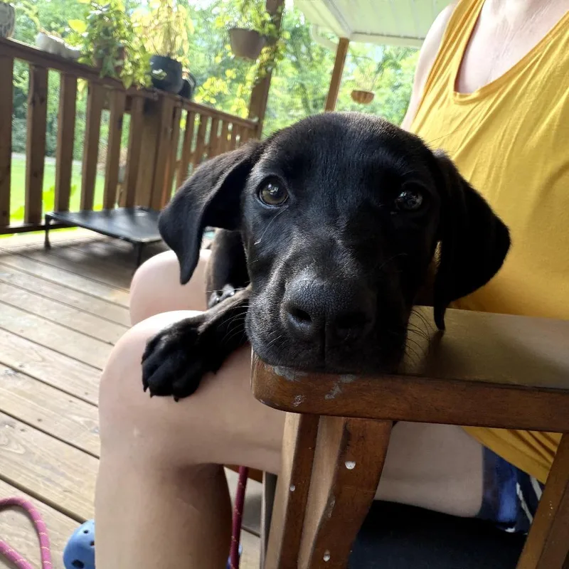 Maggie