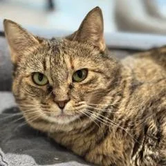 Sugar Mama thumbnail 2