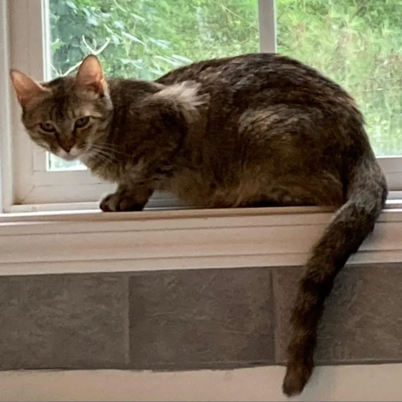 Sugar Mama thumbnail 3