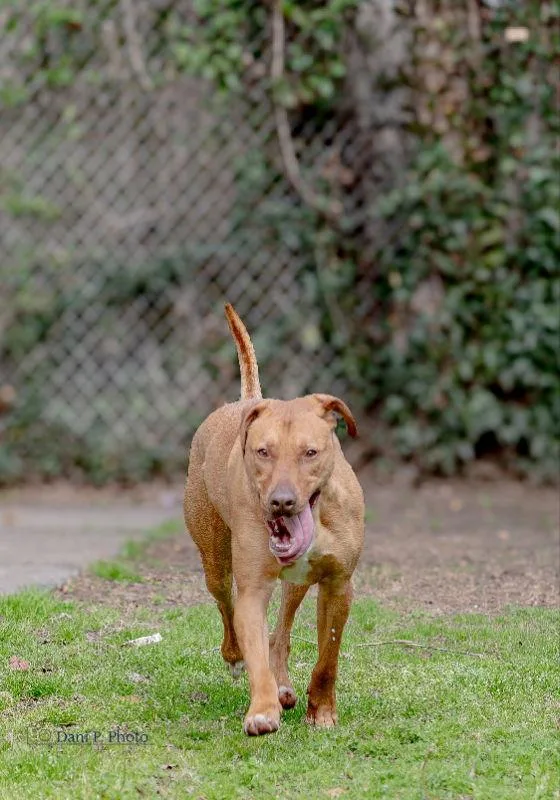 River  Cchs thumbnail 3