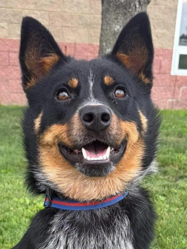 Diego