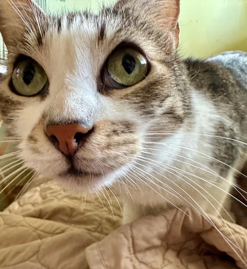 Buddy And Sissie thumbnail 2