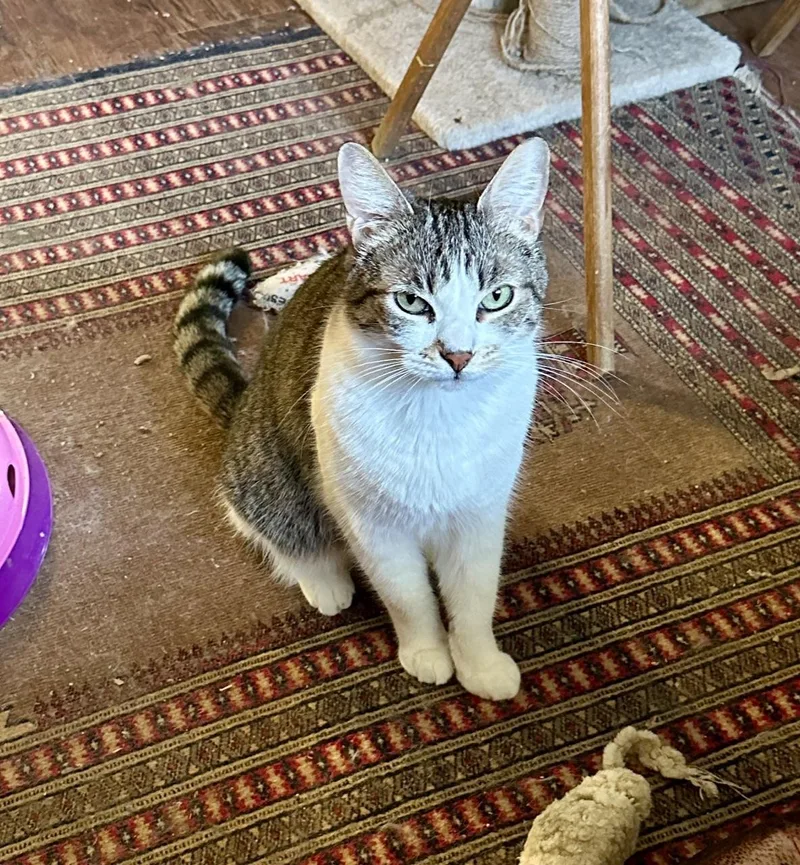 Buddy And Sissie thumbnail 3