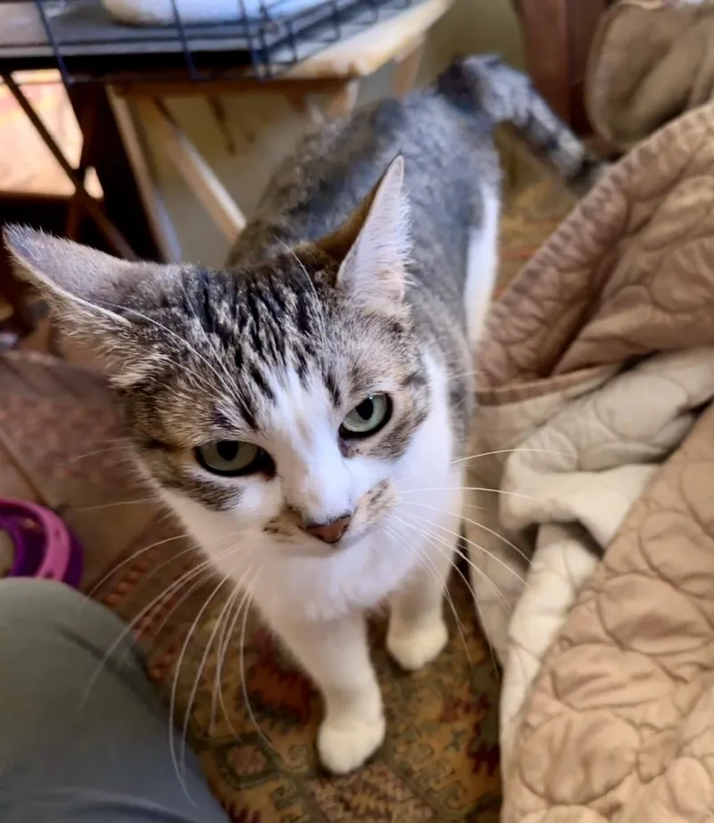 Buddy And Sissie thumbnail 4