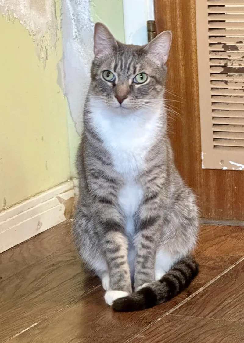 Buddy And Sissie thumbnail 5