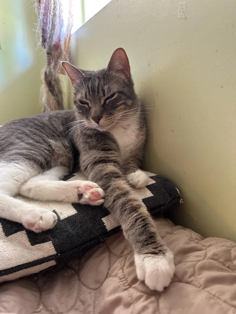 Buddy And Sissie thumbnail 6