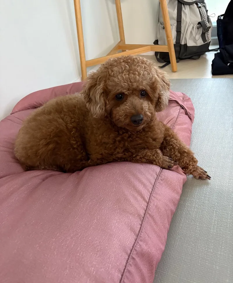 Coco