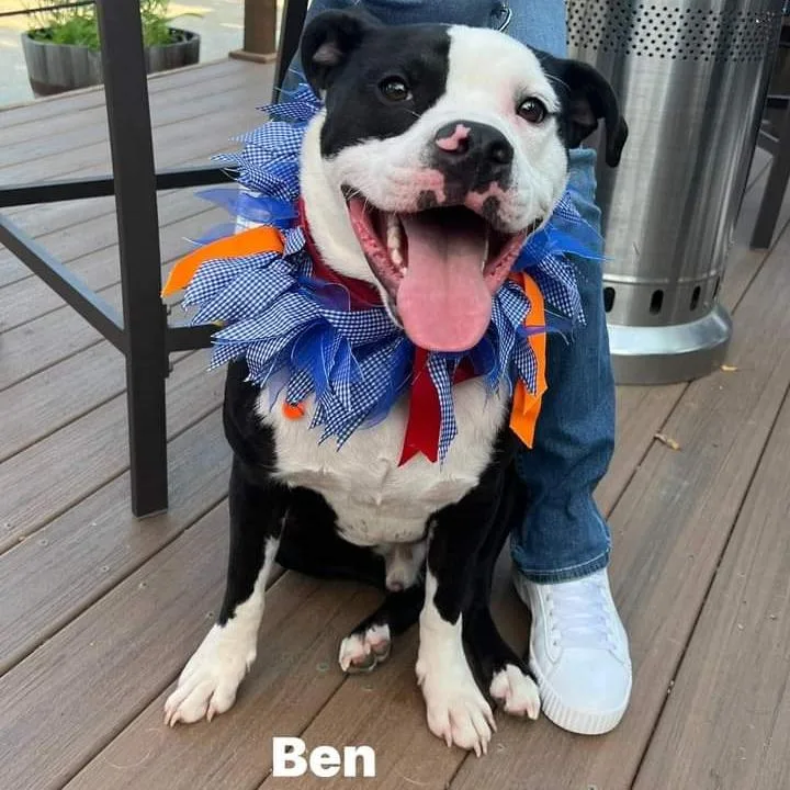 Ben thumbnail 2