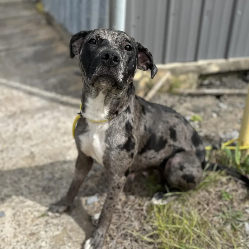 Hvac Technician thumbnail 2