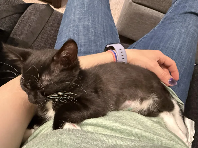 Olivia and Sabrina thumbnail 2