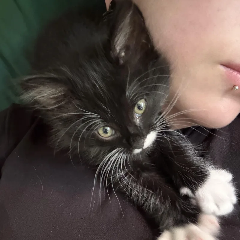 Olivia and Sabrina thumbnail 3